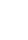 Venezuela Primera Division